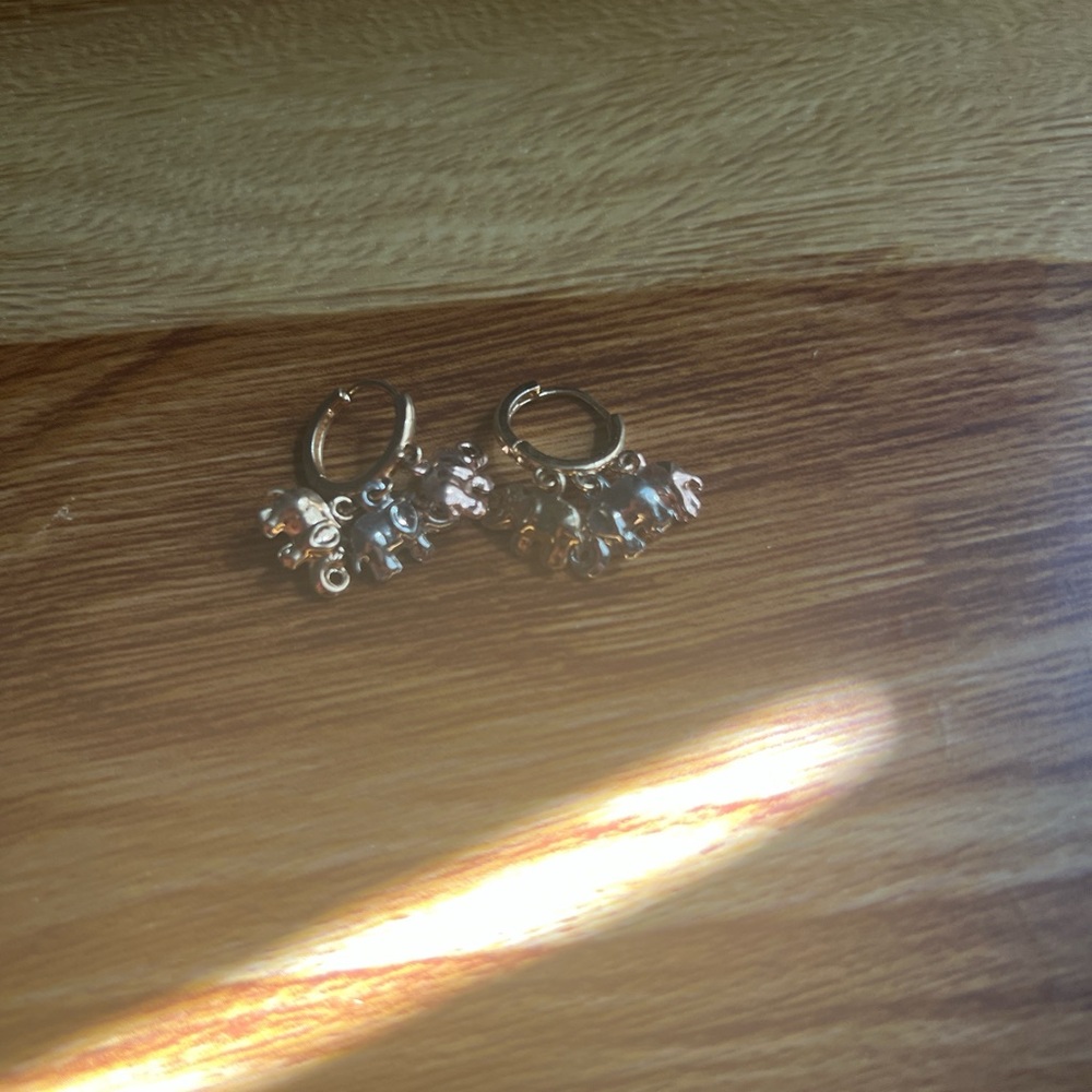 Elegant Gold and Silver Hoop Earrings